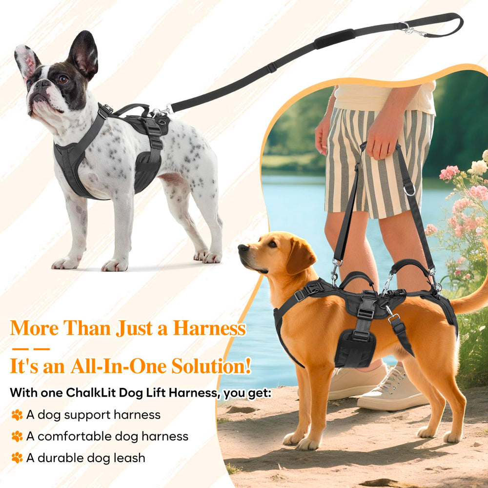 ChalkLit Dog Lift Harness adjustable-handles demonstrate customizable lift height