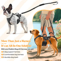 ChalkLit Dog Lift Harness adjustable-handles demonstrate customizable lift height