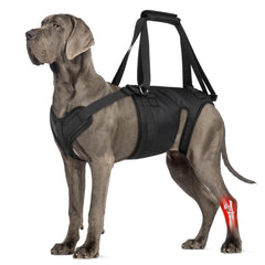 ChalkLit Dog Lift Harness front view helps secure mobility for seniors during assisted transfers.