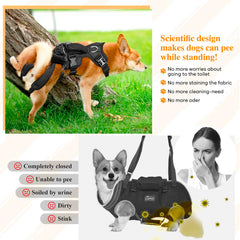ChalkLit Dog Lift Harness side-wear angle highlights ergonomic support during transfers