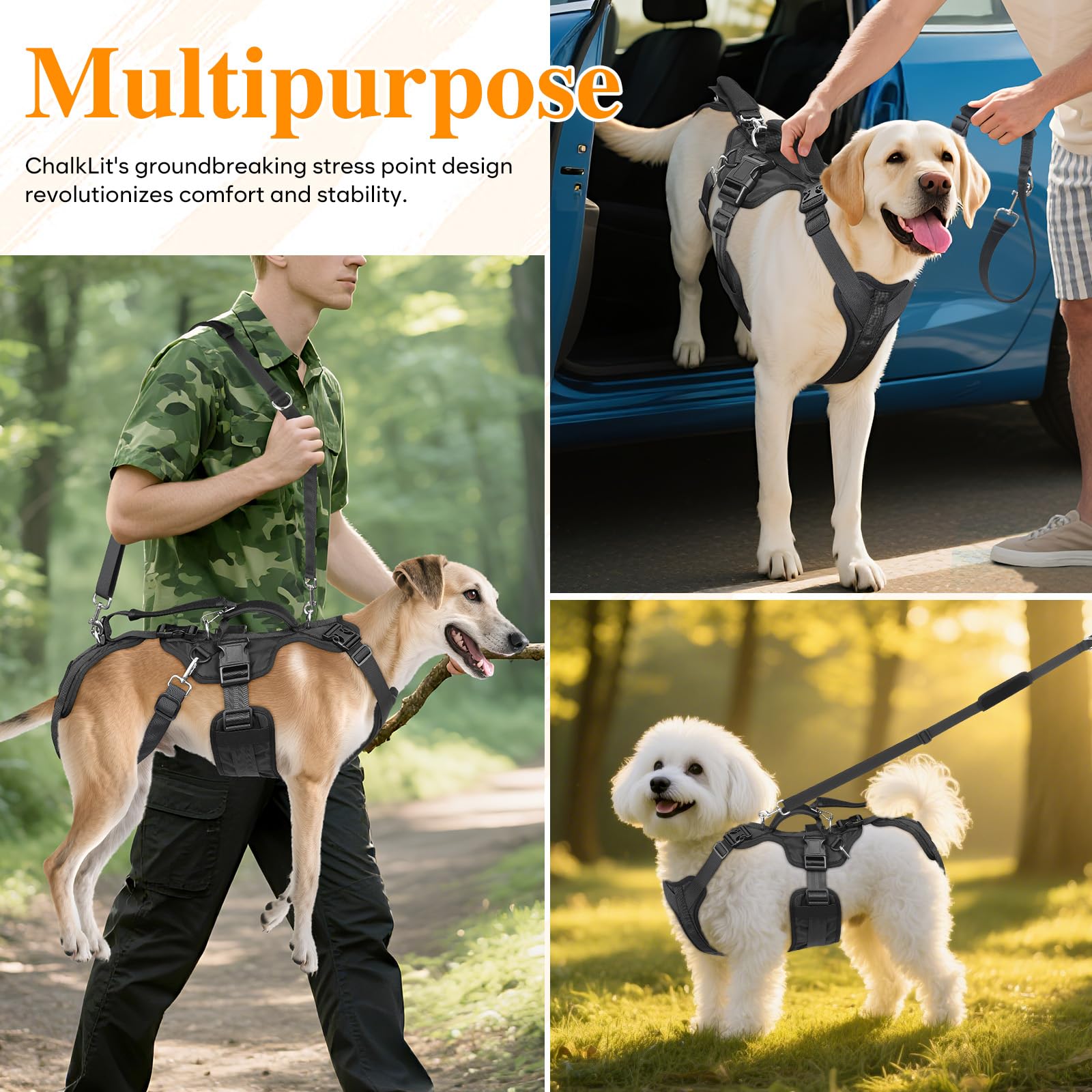 ChalkLit Dog Lift Harness stress-distribution design emphasizes comfort and balance