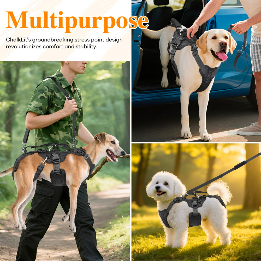 ChalkLit Dog Lift Harness stress-distribution design emphasizes comfort and balance
