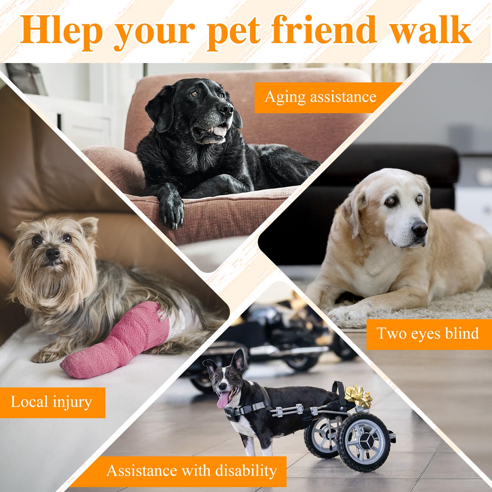 ChalkLit Dog Lift Harness waterproof-material keeps dogs dry during outdoor assistance