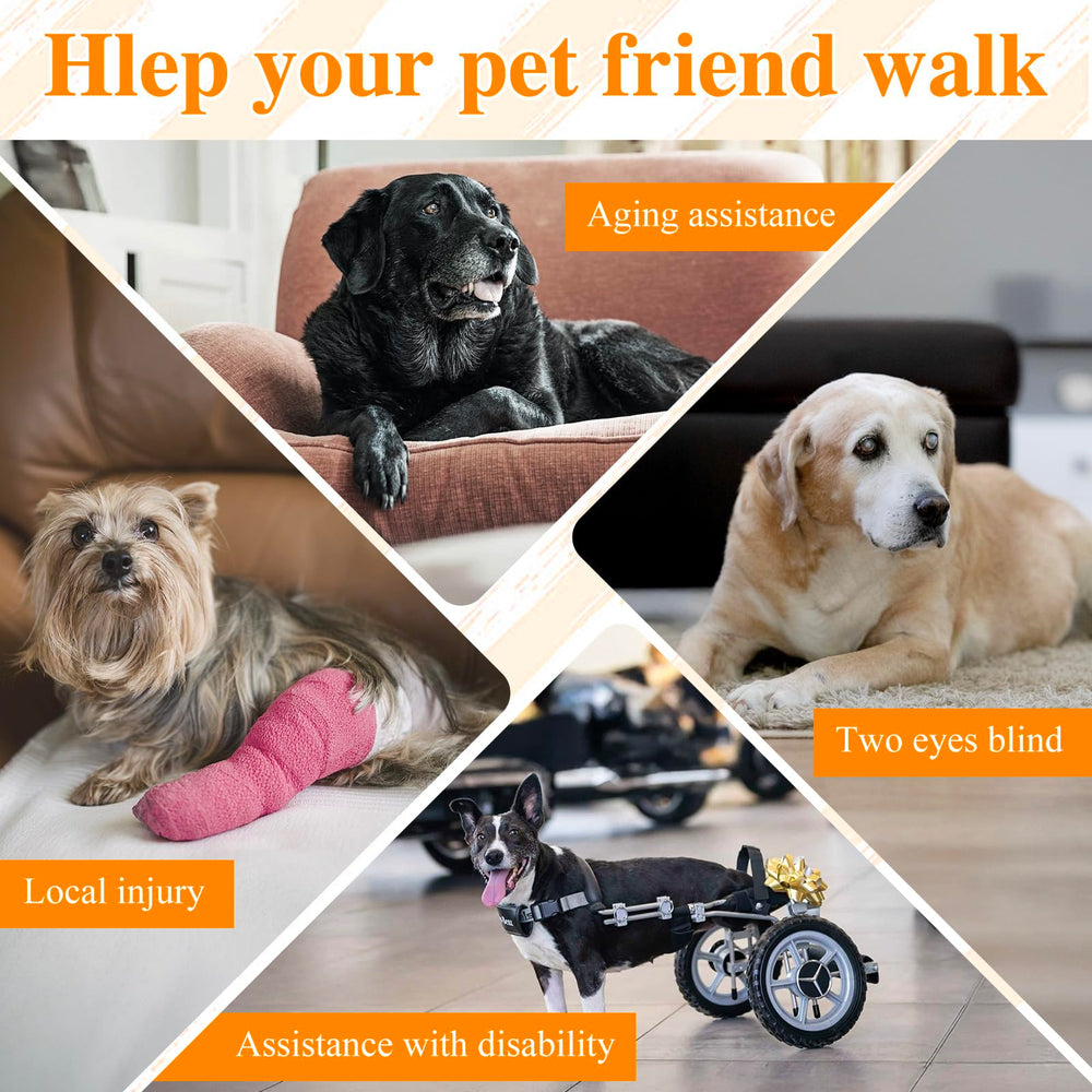 ChalkLit Dog Lift Harness waterproof-material keeps dogs dry during outdoor assistance