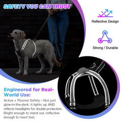 ChalkLit multicolor LED lights on harness showcase nighttime visibility and style.