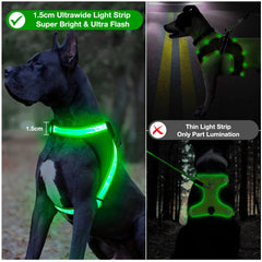 ChalkLit adjustable neck and chest harness for a snug fit