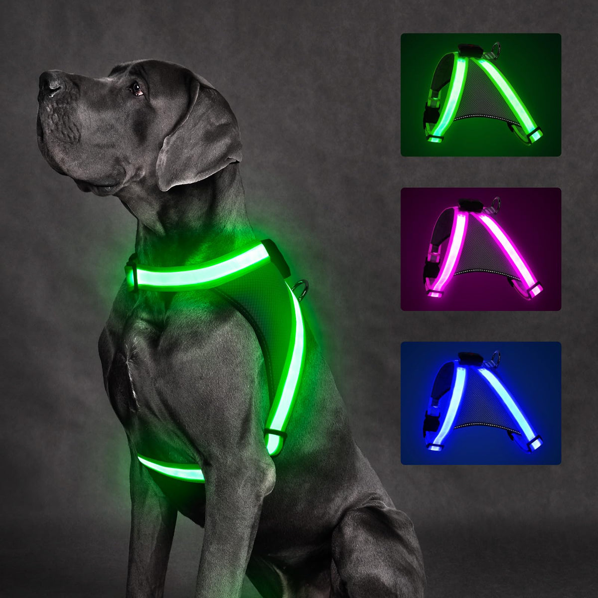 ChalkLit light-up dog harness front illumination for high night visibility