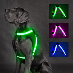 ChalkLit light-up dog harness front illumination for high night visibility