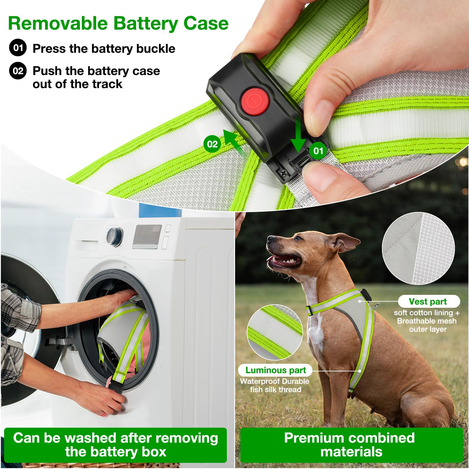 ChalkLit no-pull design with D-buckle for easy control during walks