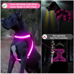 ChalkLit light up dog harness pink small back view with glowing safety