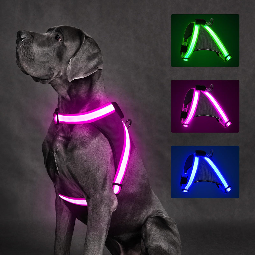 ChalkLit light up dog harness pink small front view boosts nighttime visibility