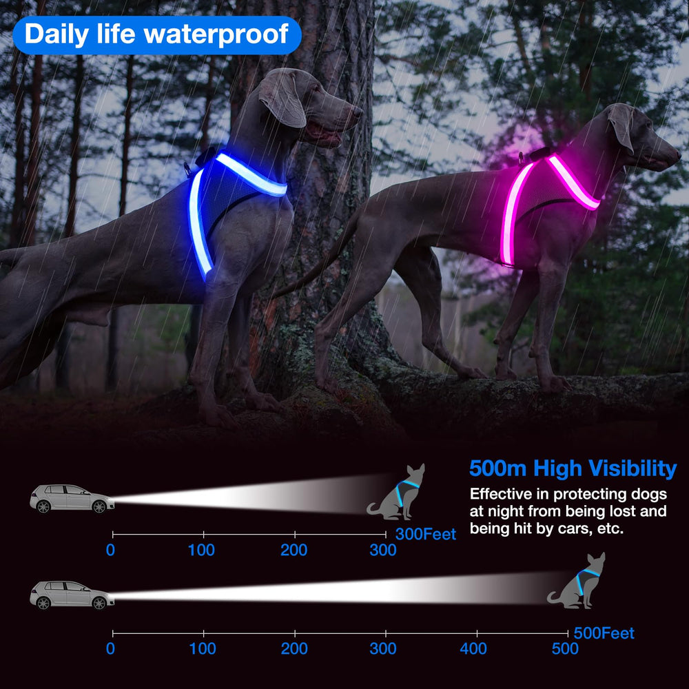 ChalkLit no-pull design with D-buckle enables easy control of your dog