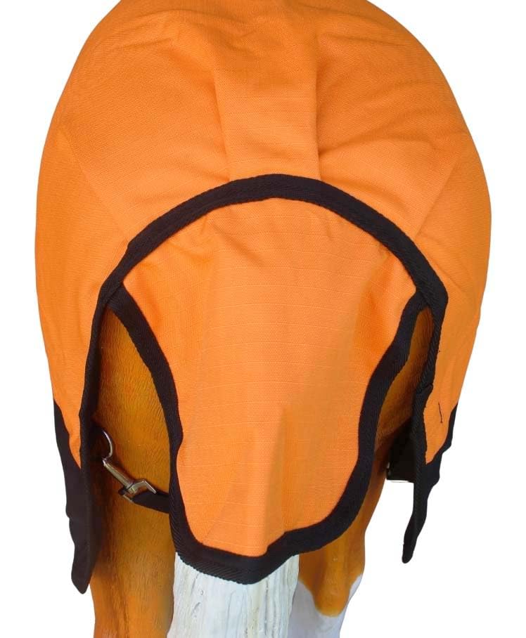 CHALLENGER 50-inch foal blanket leg straps show steady turnout protection during play