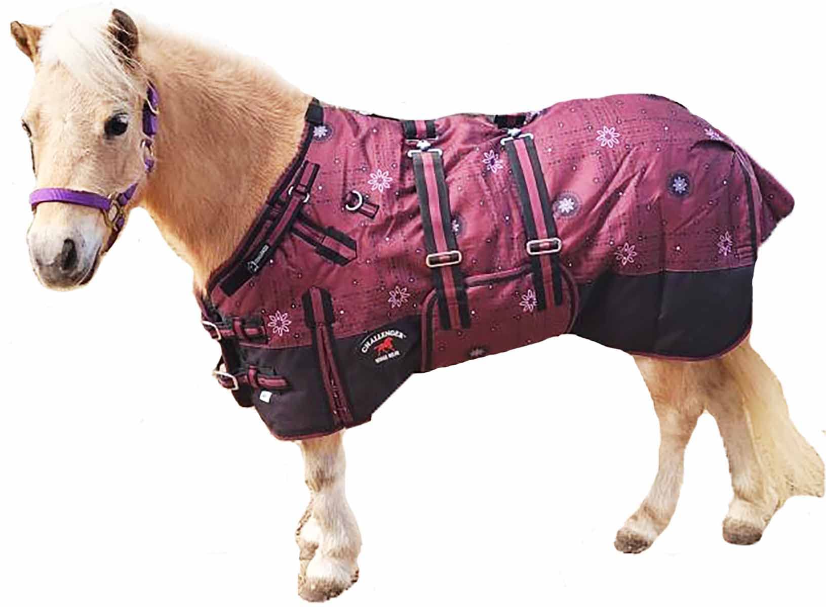 CHALLENGER 54-inch blanket with front closure offers secure adjustable fit for foals.