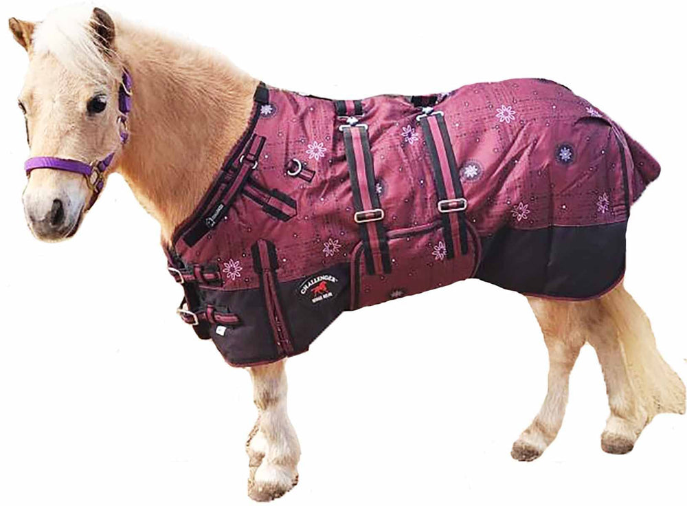 CHALLENGER 54-inch blanket with front closure offers secure adjustable fit for foals.