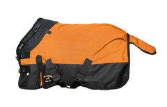 CHALLENGER foal turnout blanket front view with rugged 1200D outer shell for active foals.