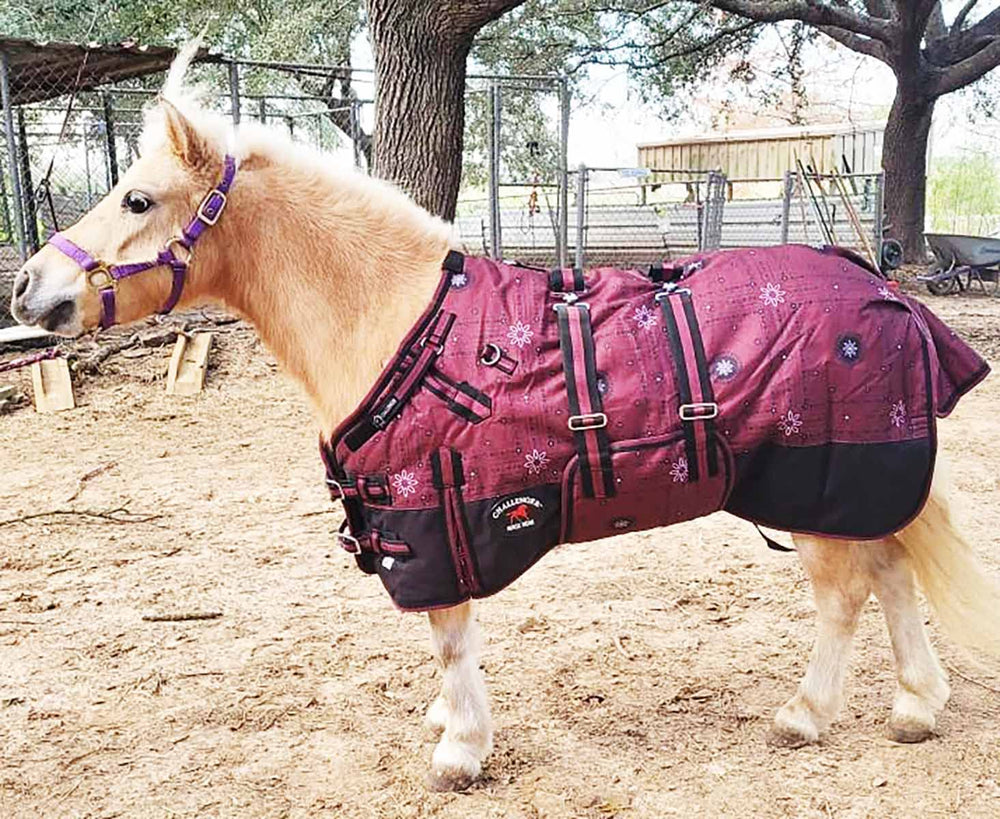CHALLENGER shoulder gussets enable better mobility for miniature horses during movement.