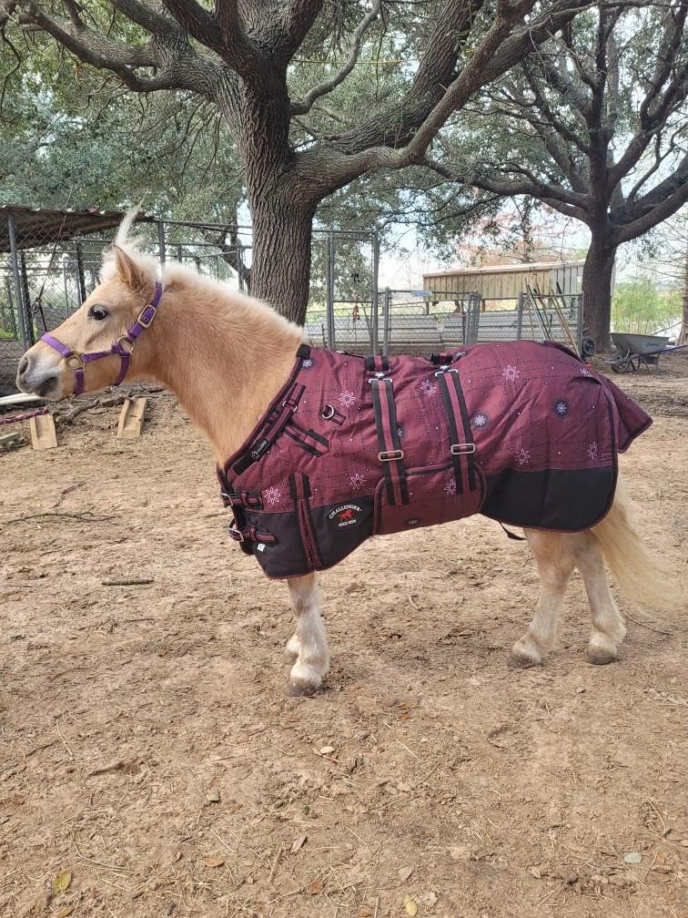 CHALLENGER fleece-lined wither protection reduces rubbing for all-day comfort.