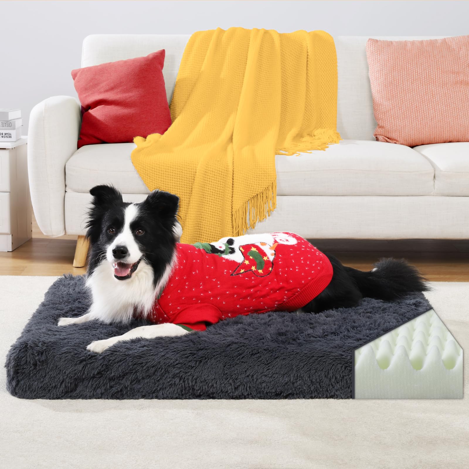 CHAMPETS orthopedic bed crate-fit scene highlighting versatile indoor placement