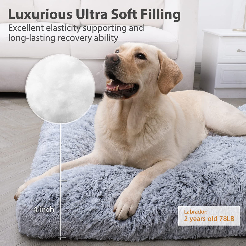 CHAMPETS bed non-slip bottom keeps the large dog bed in place during play