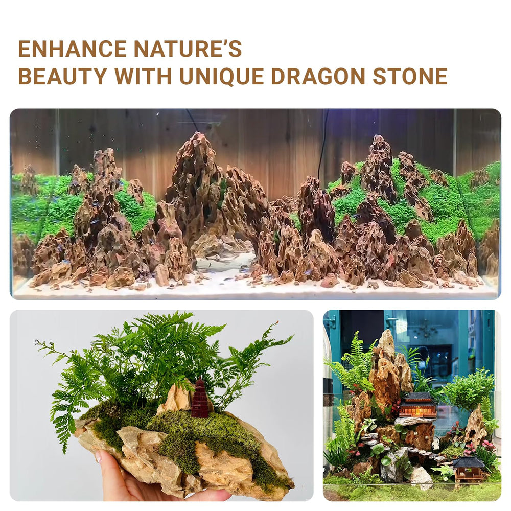 ChaoLeHo Dragon Rocks natural tones suit various tank styles