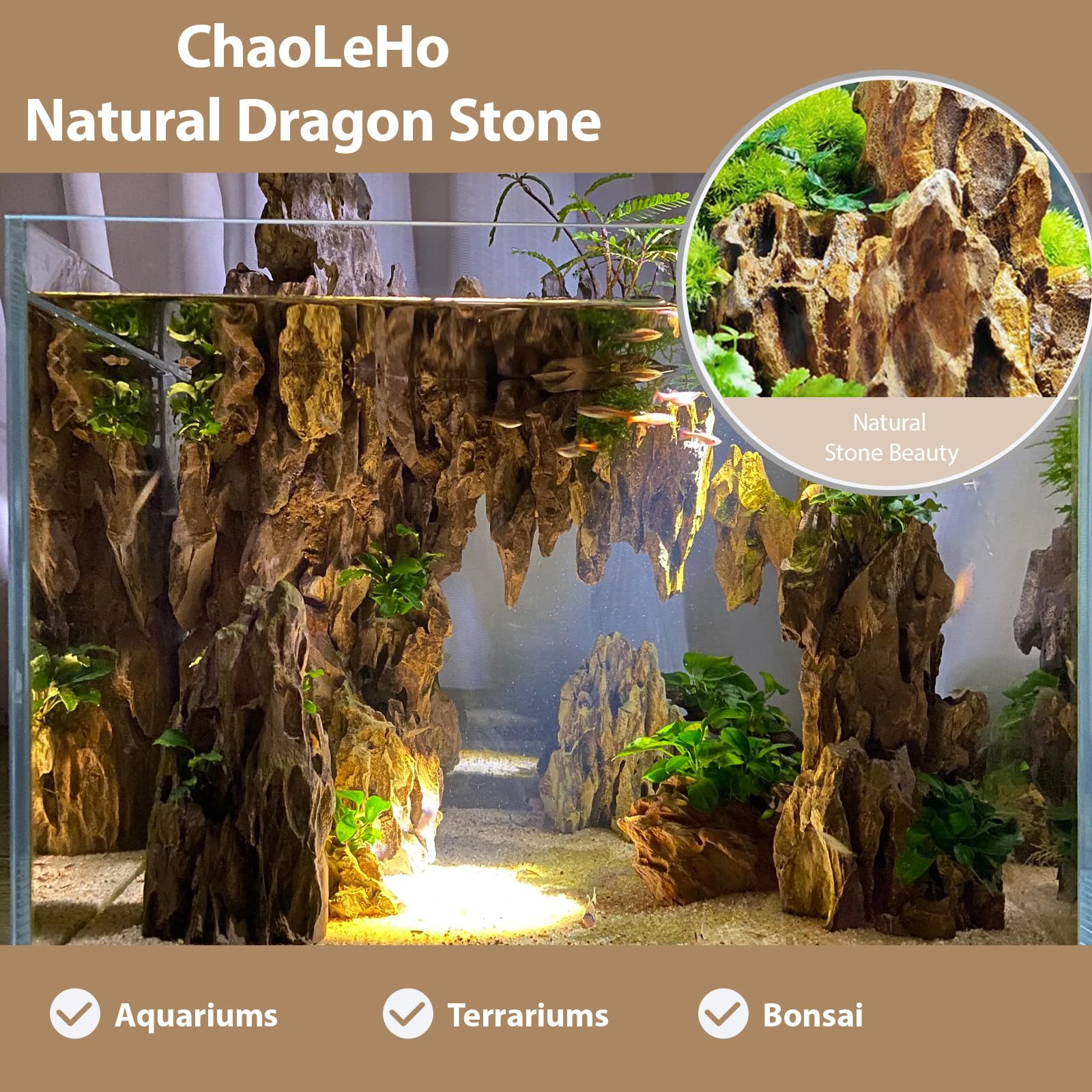 ChaoLeHo Dragon Rocks texture closeup highlights porous surface for plant rooting