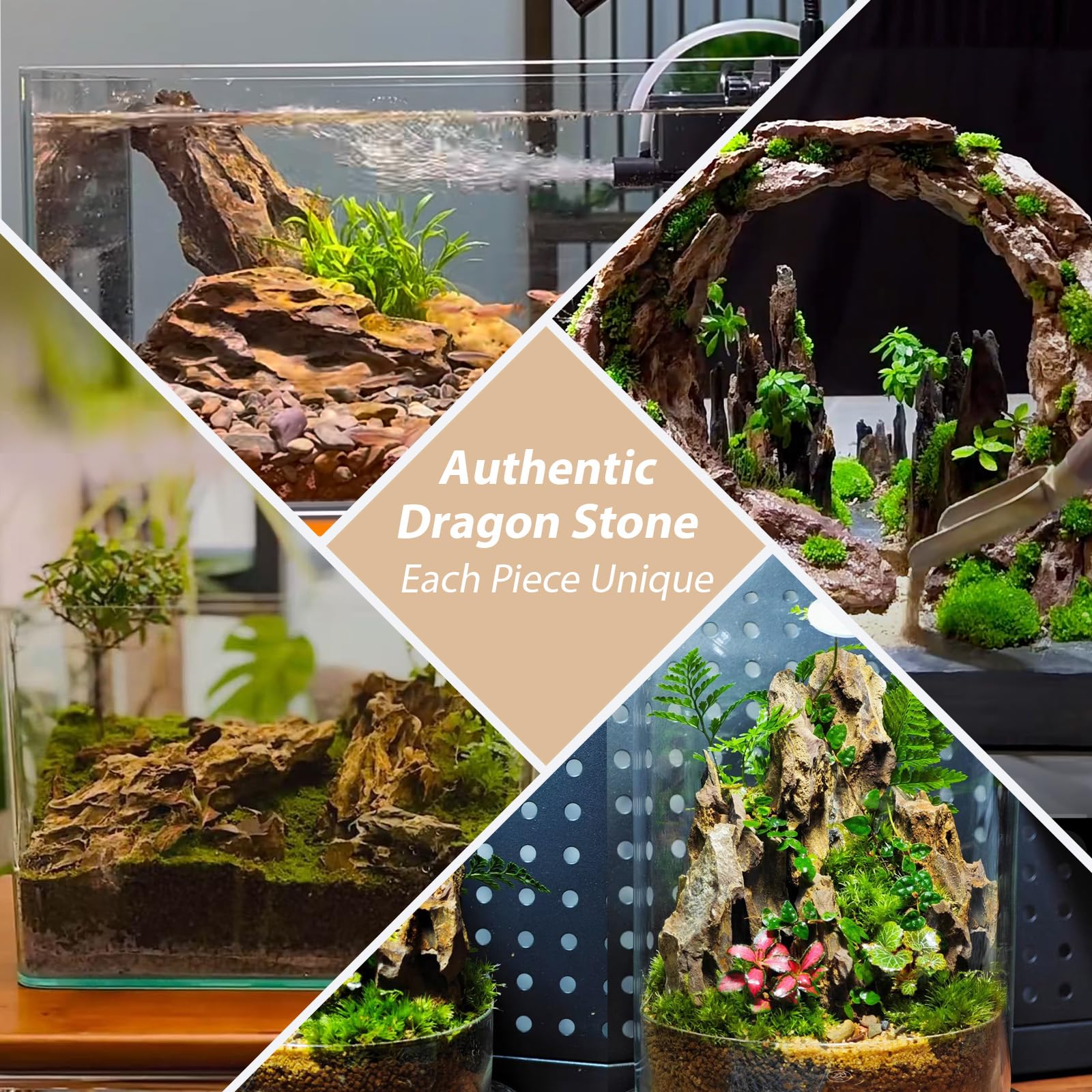 ChaoLeHo Dragon Stone caverns-ridge provides natural hiding spots.