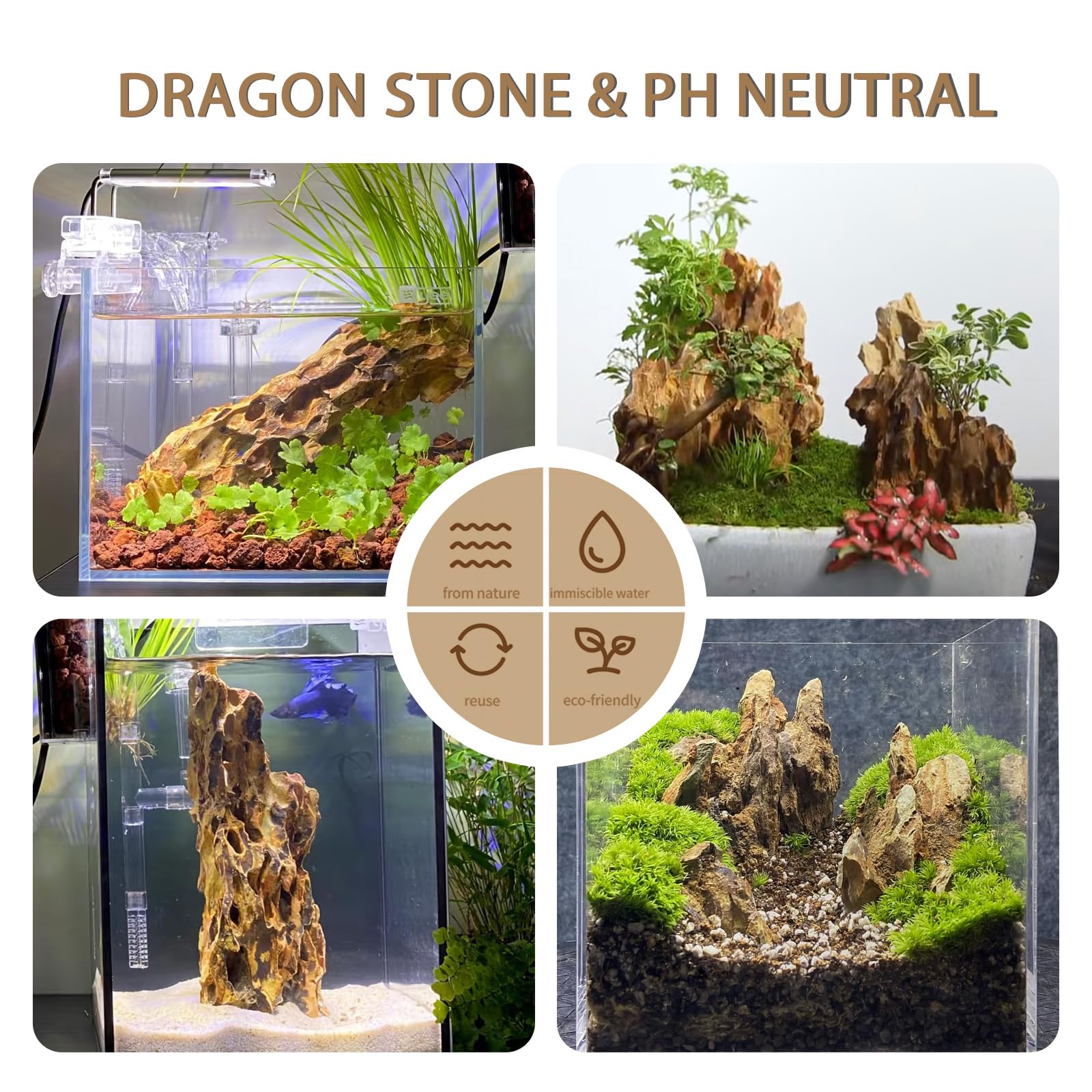 ChaoLeHo Dragon Stone hardscape-aquarium-setup supports natural layout.