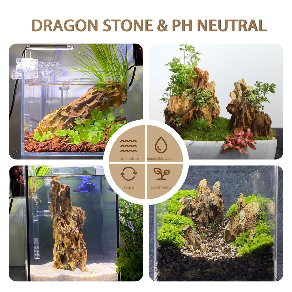 ChaoLeHo Dragon Stone hardscape-aquarium-setup supports natural layout.