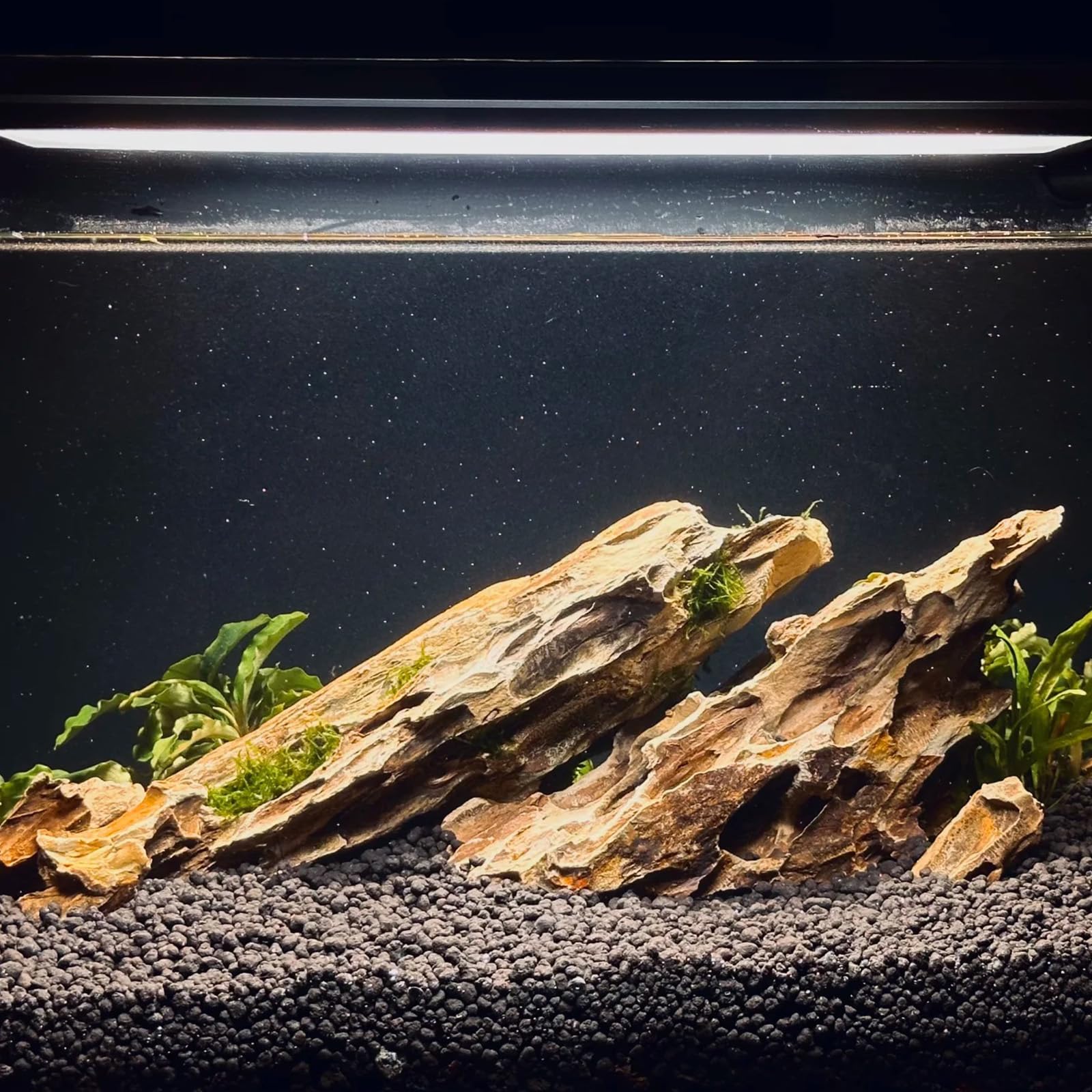 ChaoLeHo Dragon Stone natural-landscape blends with indoor or outdoor gardens.