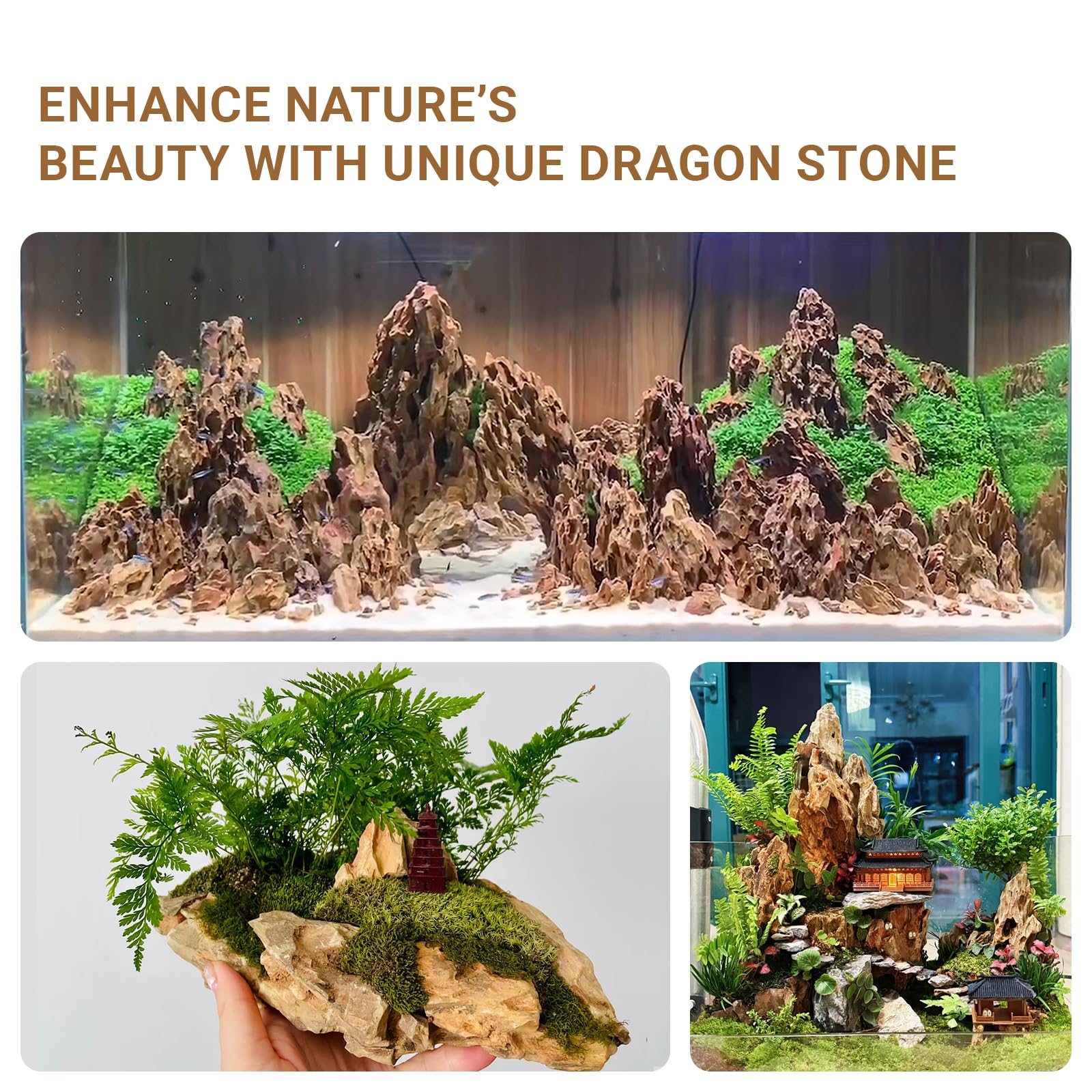 ChaoLeHo Dragon Stone porous-surface highlights breathable texture for plants.