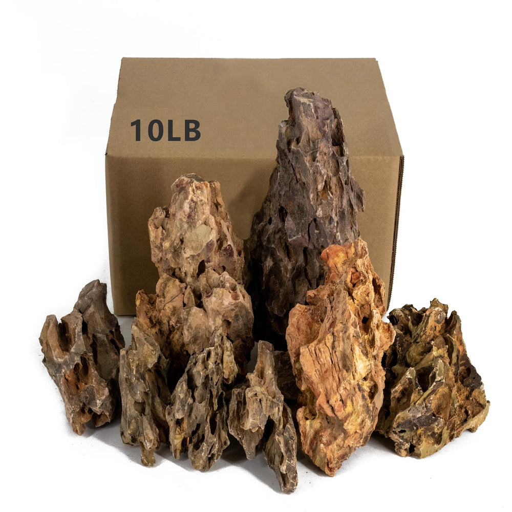 ChaoLeHo Dragon Stones add natural aquascaping texture for aquarium décor.