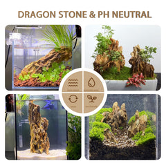 ChaoLeHo Dragon Stones are lightweight and stackable for flexible tank setups.