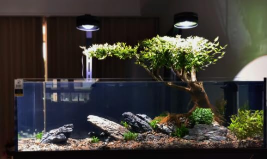 ChaoLeHo Seiryu stone decor ideas for aquariums and terrariums.