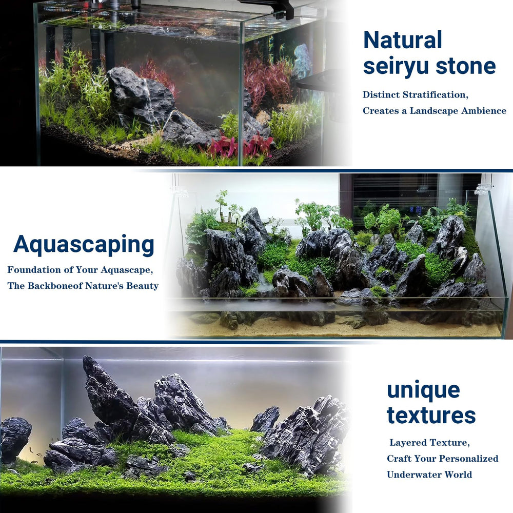 ChaoLeHo Seiryu stone is durable for long-lasting tanks.