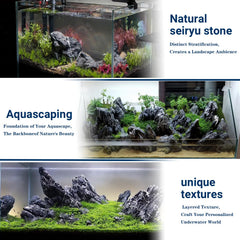 ChaoLeHo Seiryu stone is durable for long-lasting tanks.