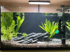 ChaoLeHo slate rocks in aquarium landscaping with unique natural variations.