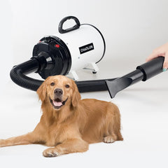 CHAOLUN dog dryer three-nozzle set for versatile styling and drying.