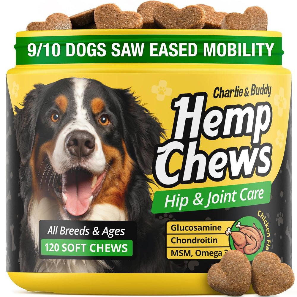 CHARLIE & BUDDY hemp hip joint chews bottle for improved dog mobility and comfort.