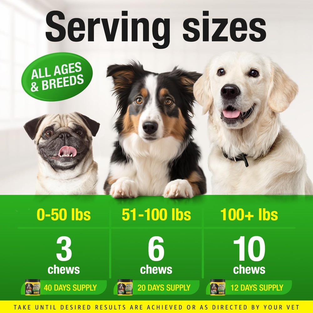 CHARLIE & BUDDY hemp hip joint chews dog activity scene implying better mobility.