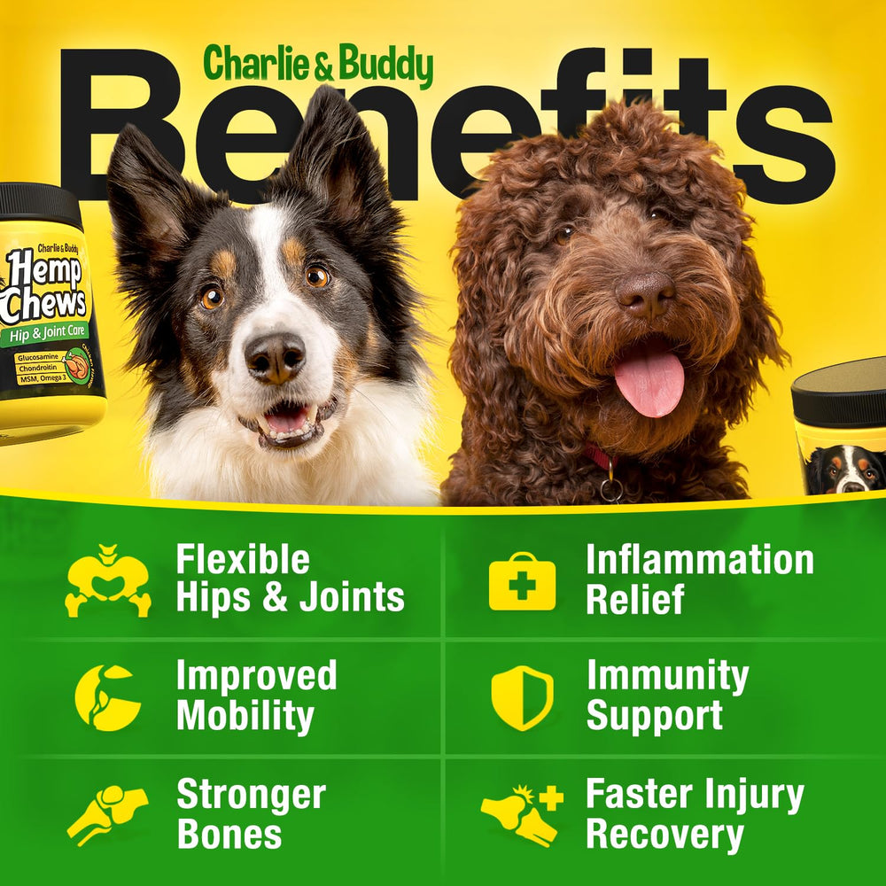 CHARLIE & BUDDY hemp hip joint chews pack showcases tasty chicken flavor dogs love.
