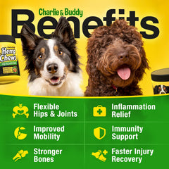CHARLIE & BUDDY hemp hip joint chews pack showcases tasty chicken flavor dogs love.