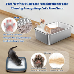 Charlie & Mollie litter box pee pad inside supports quick absorbency and odor containment.