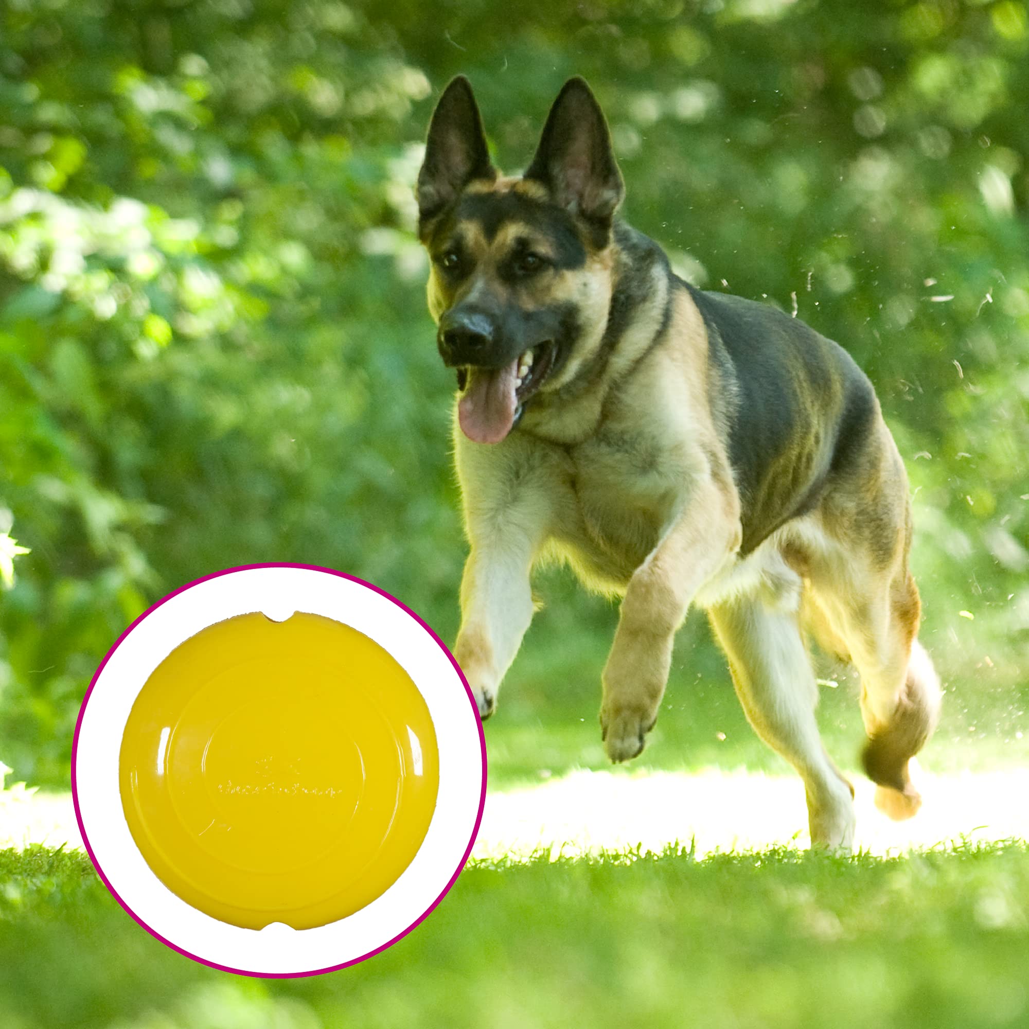 Chase 'n Chomp Field Disk Toy yellow front view for fetch and chewing fun.