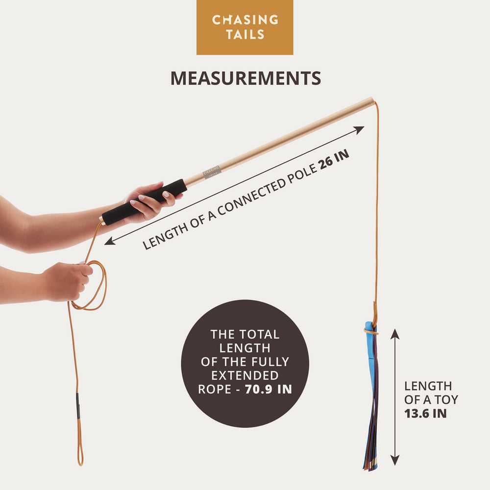 Chasing Tails Flirt Pole Adjustable Rope shows length customization for small spaces or large yards.