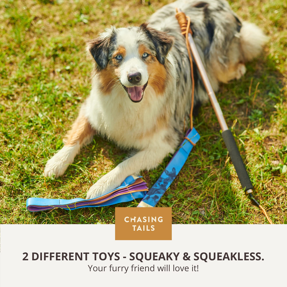 Chasing Tails Flirt Pole Disassembles 2-Parts enables easy transport and storage on trips.