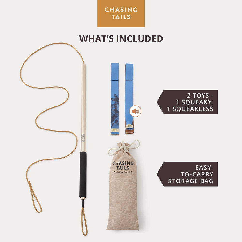 Chasing Tails Flirt Pole Durable Aluminum highlights heavy-duty, corrosion-resistant components for lasting use.