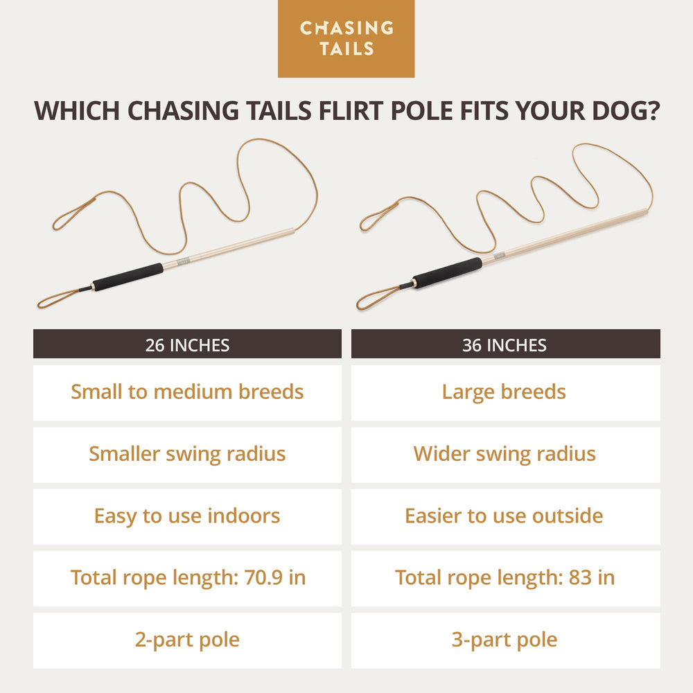 Chasing Tails Flirt Pole Small Medium Dogs Use suits corgis and spaniels for active play.