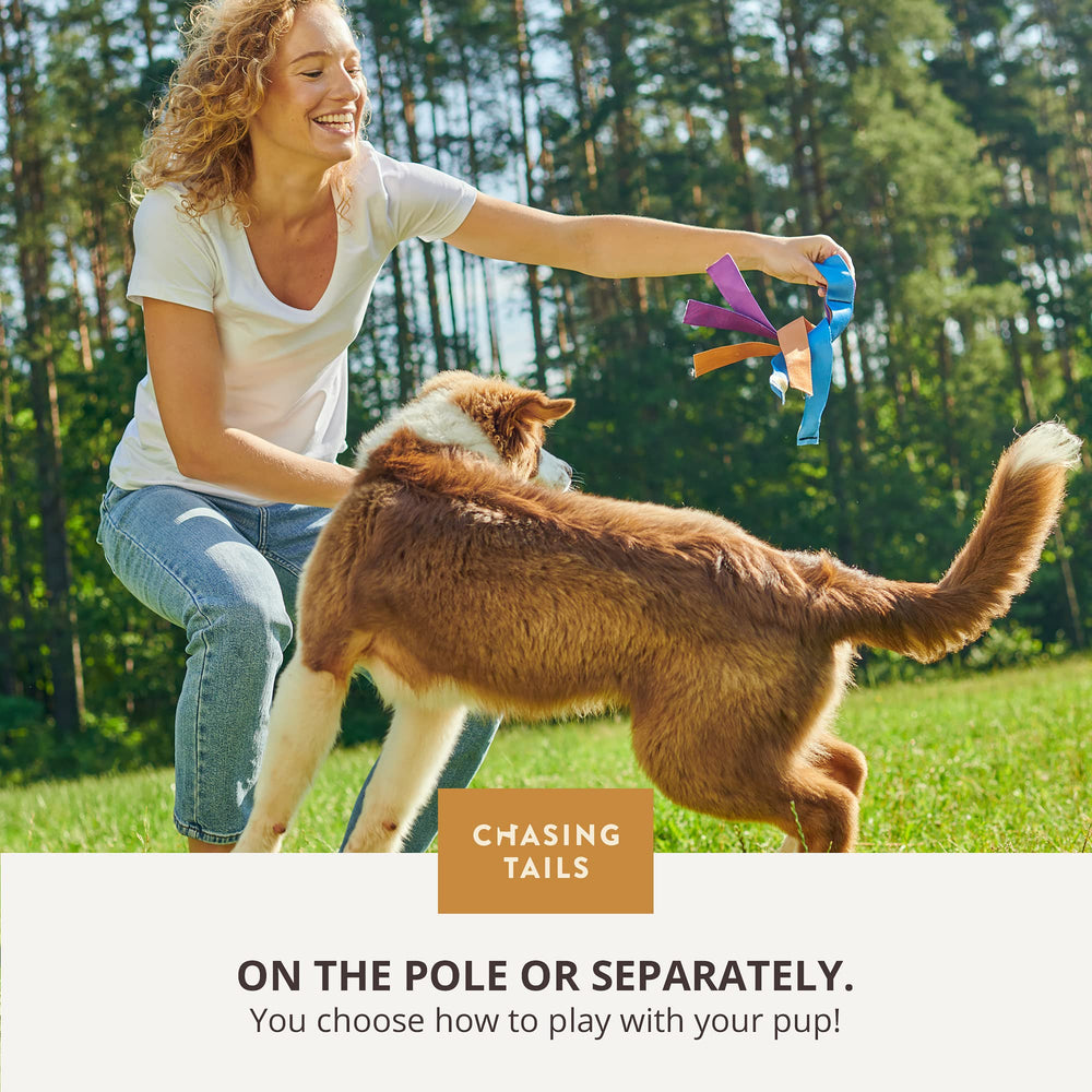Chasing Tails Flirt Pole Training Guide offers safety tips and commands for better sessions.
