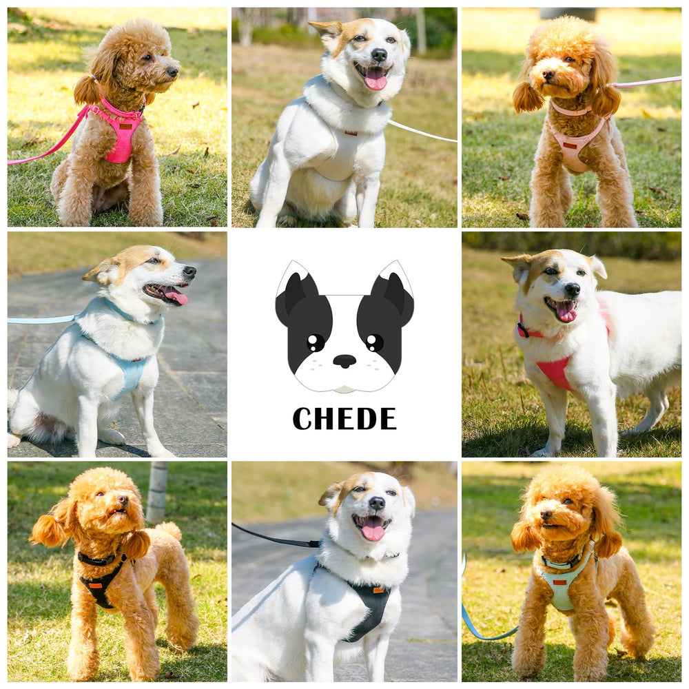Chede dog-walking scene shows adjustable fit during jog or hike